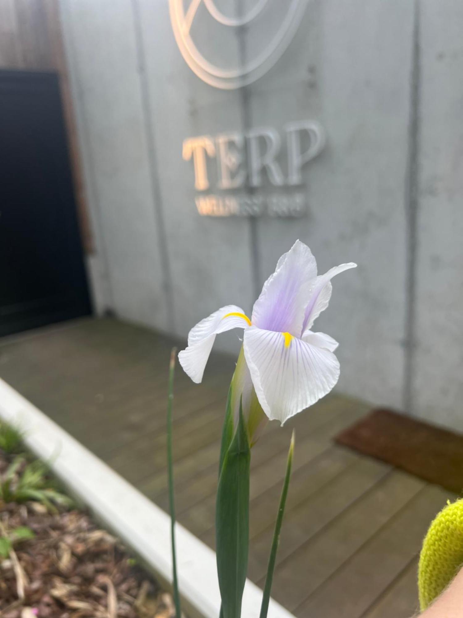 Bed and Breakfast Terp Poperinge Exterior foto